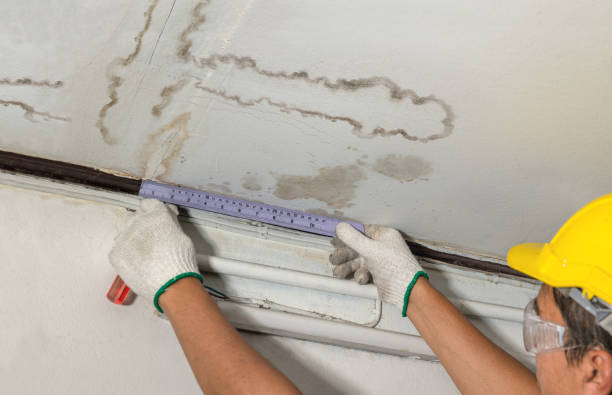 Affordable Water Damage Repair solutions in Ellwood City, PA